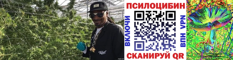 Галлюциногенные грибы мицелий  Купить где  Котово 